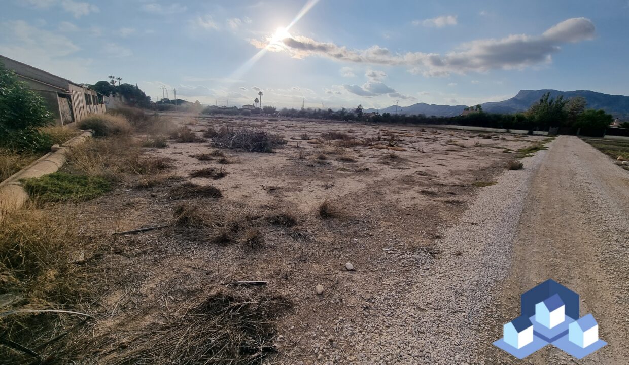 20241024 175026